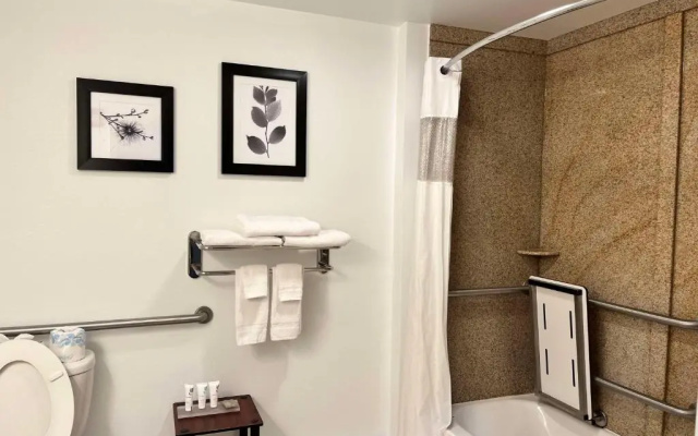 1 Bedroom Double Suite