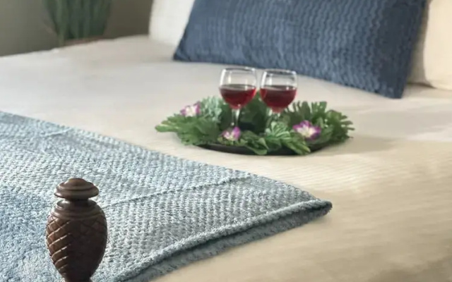 Comfort Suite