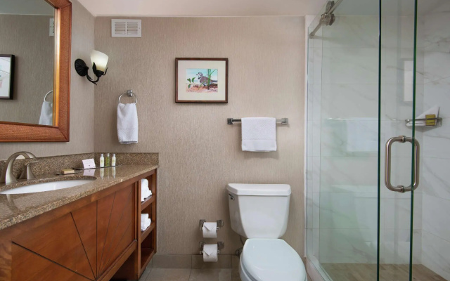 Standard Double room with inland view