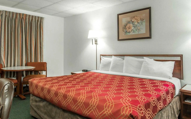 Standard room with ocean view