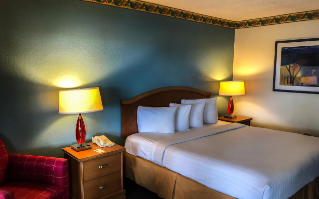 Economy room