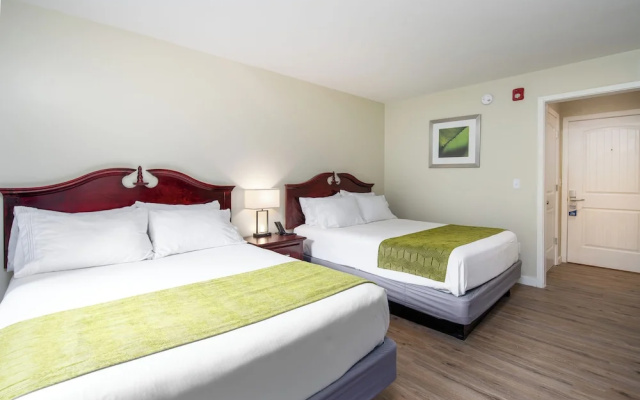 Economy room