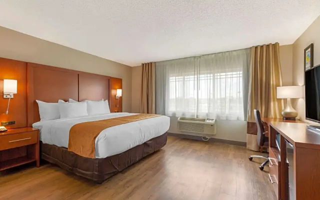 Standard Suite