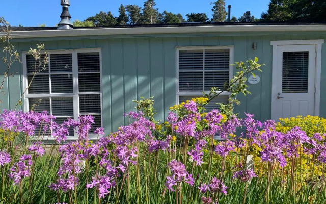 Family Bungalow