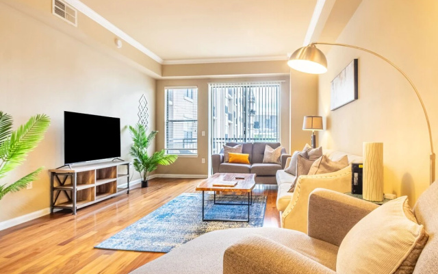 Luxury Apartment
