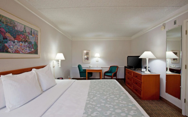1 Bedroom Premium Double Suite