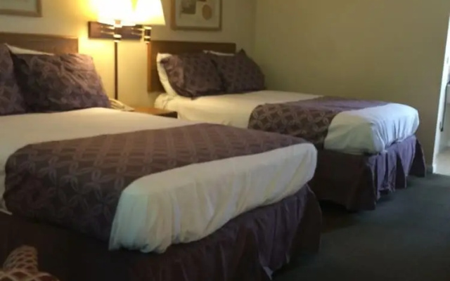 Deluxe Quadruple room with balcony and with river view