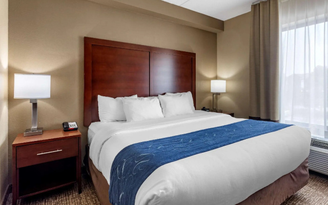 1 Bedroom Suite
