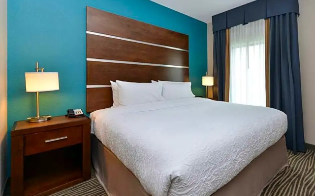 Double Suite with river view