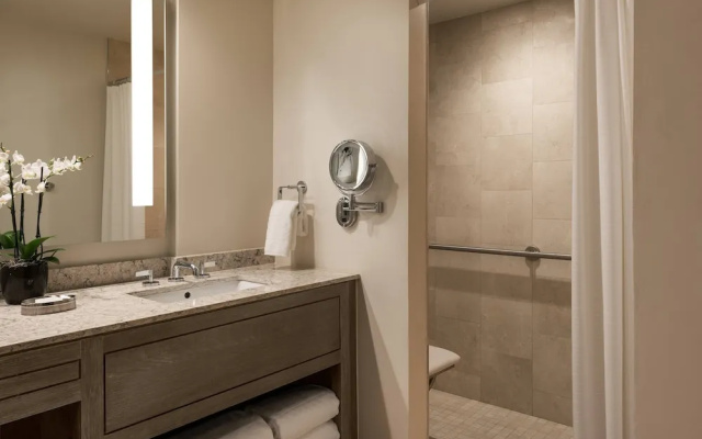 1 Bedroom Suite