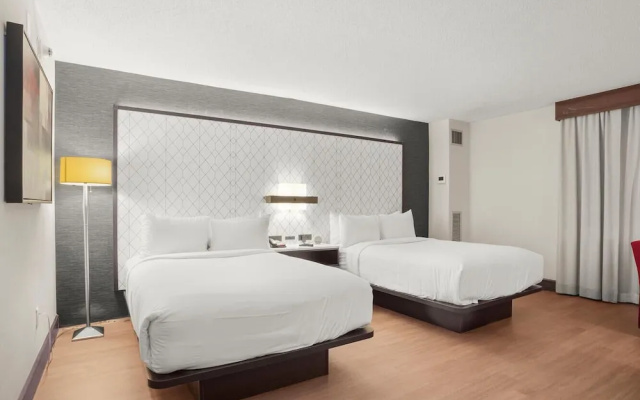 Executive Quadruple room
