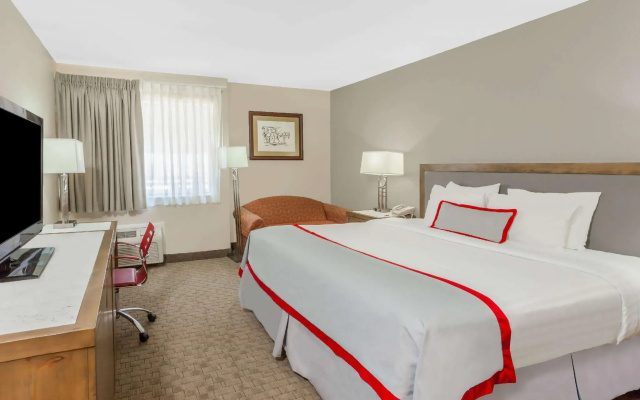 Business Double room