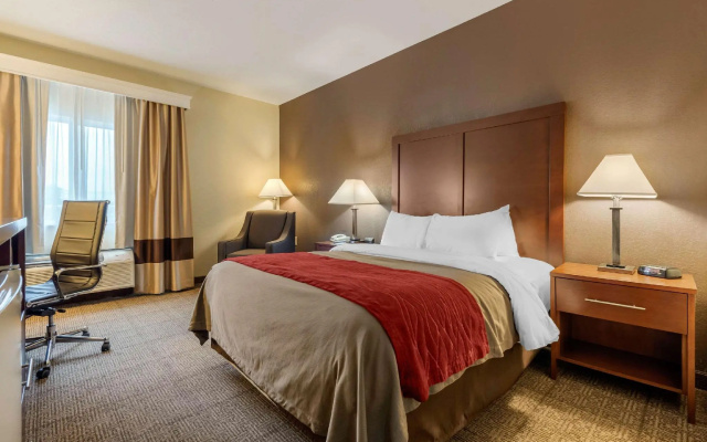 1 Bedroom Standard room