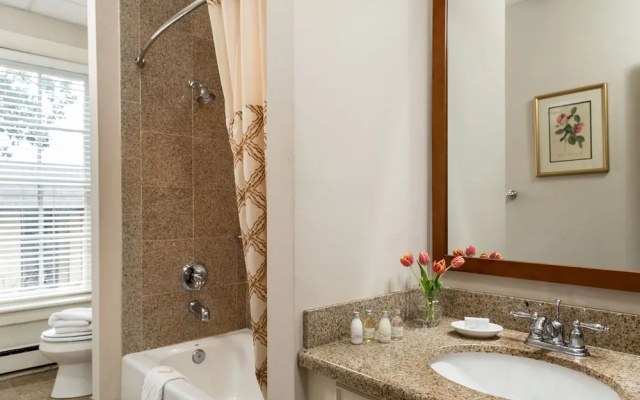Standard Double Basement room