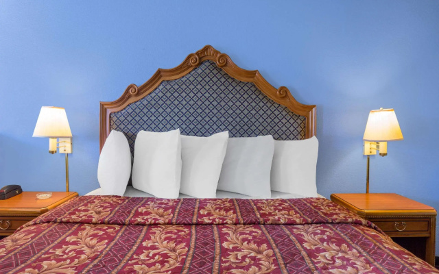 Double Studio Suite