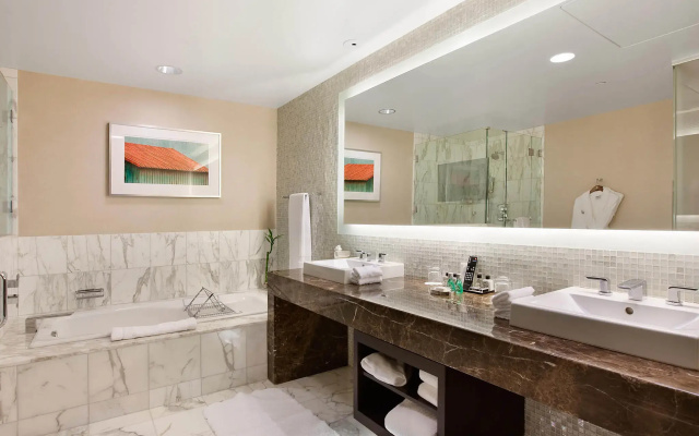 1 Bedroom Suite