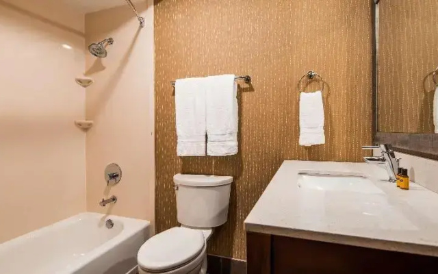 Standard Suite