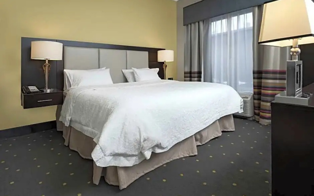 Standard Suite
