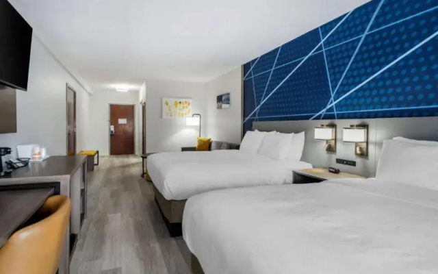 Quadruple Suite