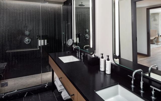 1 Bedroom Suite with city view