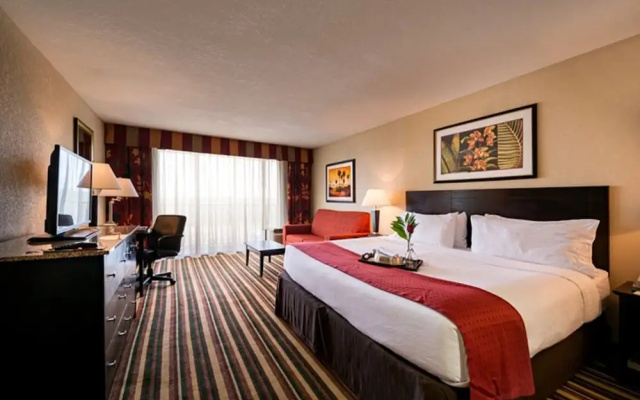 Premium Double room