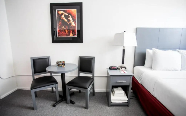 1 Bedroom Suite