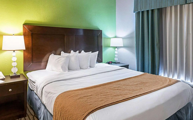 1 Bedroom Suite