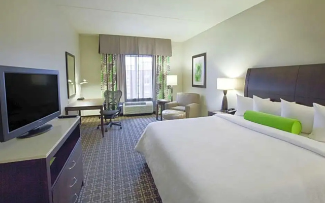 Standard Suite