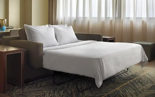1 Bedroom Deluxe Double Suite