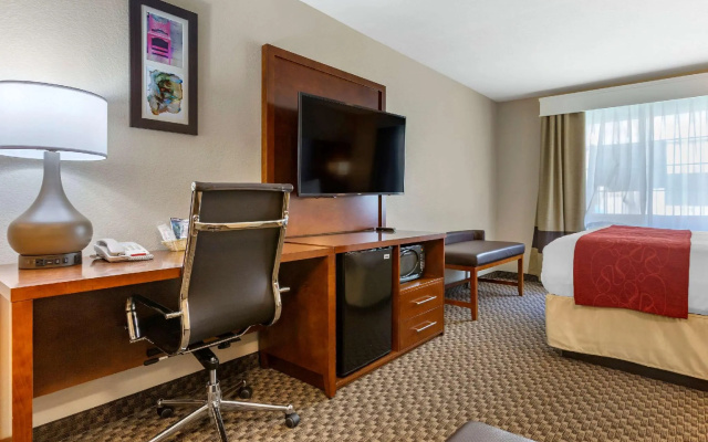1 Bedroom Suite