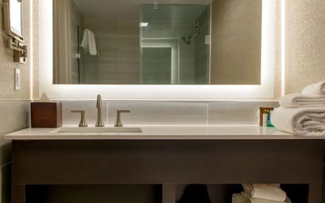 1 Bedroom Suite