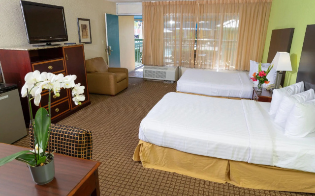 Standard Double room with view
