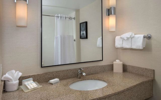 1 Bedroom Deluxe Double Suite