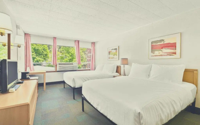 Superior Quadruple room