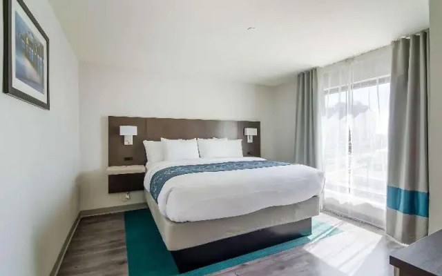 Standard Suite