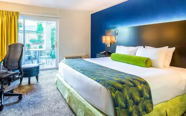 Standard Double room with balcony and with view