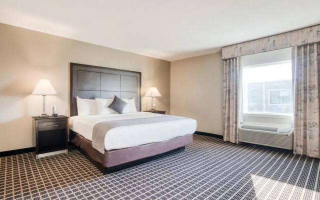 Junior Suite