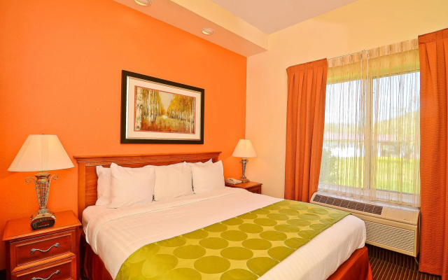 1 Bedroom Double Suite