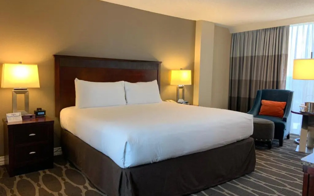Deluxe Double Guest room