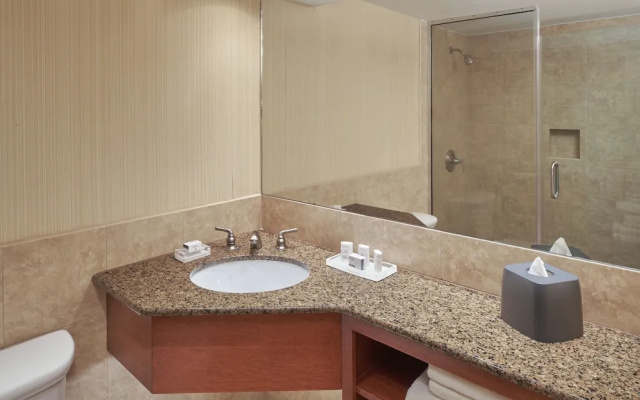 Standard Double Club room