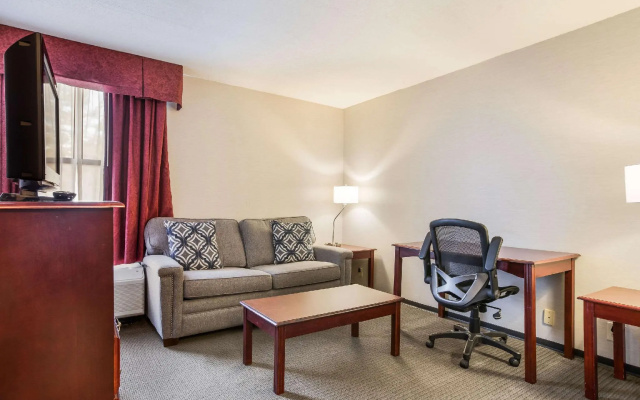 Quadruple Suite