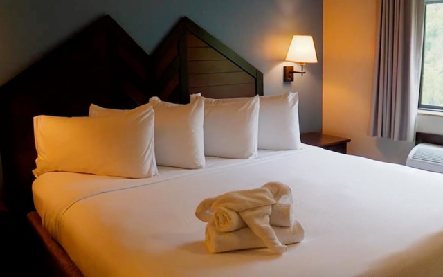 1 Bedroom Deluxe Double Suite