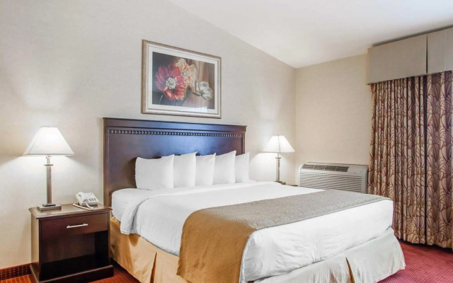 Standard room