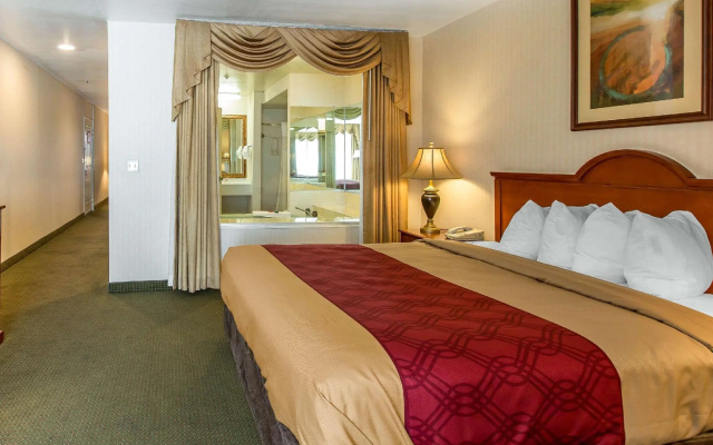 1 Bedroom Suite