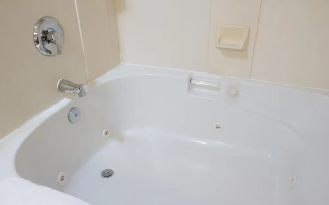 1 Bedroom Suite