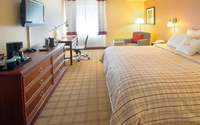 Executive Double room