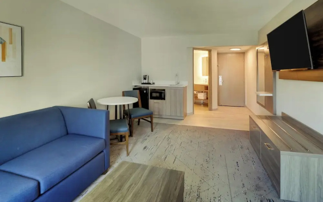 1 Bedroom Suite