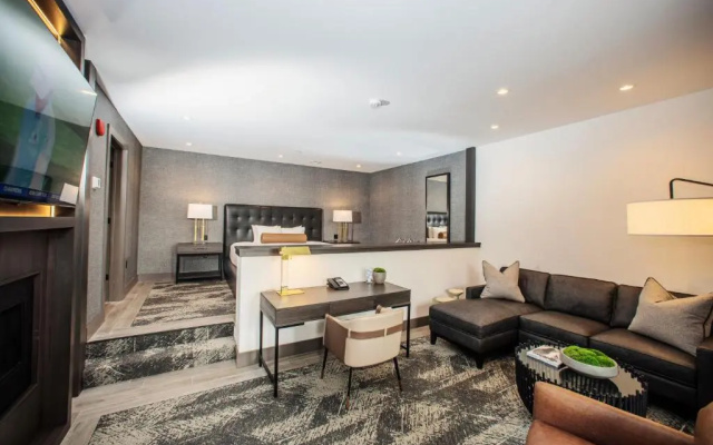 Suite