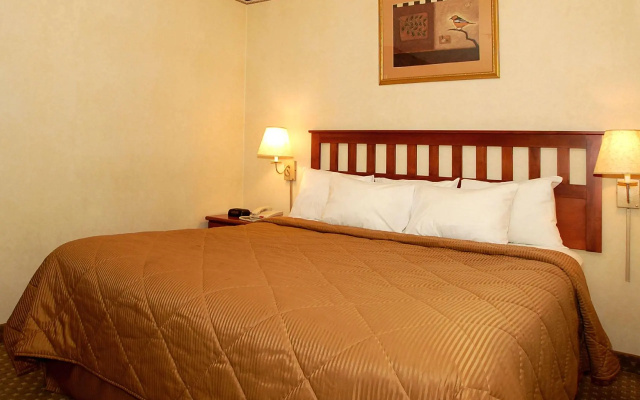 Executive Double Suite