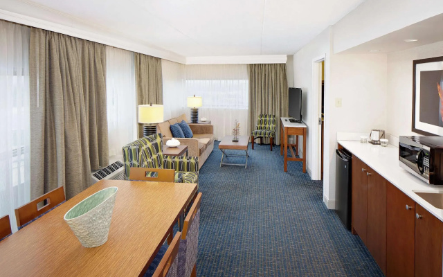 Double Junior Suite with river view